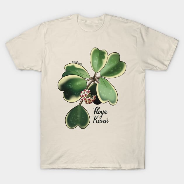 Hoya Kerrii in bloom T-Shirt by Wieskunde